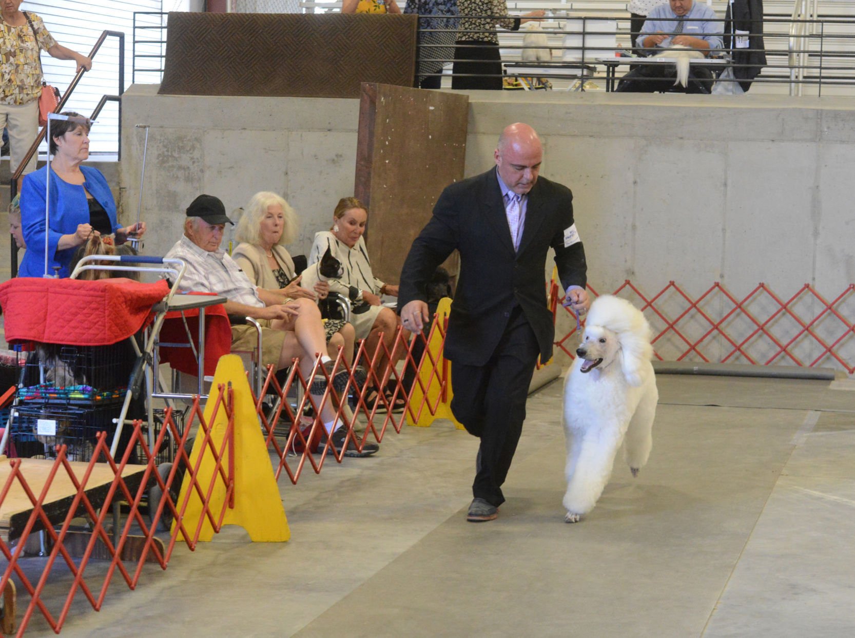 Danville Kennel Club Breeder Show